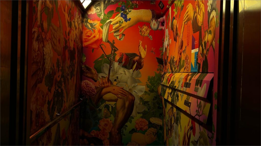 immagine accademia carrara